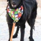 WhatsApp Slika 2025-05-13 u 16.03.06_45887e99