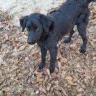 WhatsApp Slika 2025-05-13 u 16.03.06_6b58e213