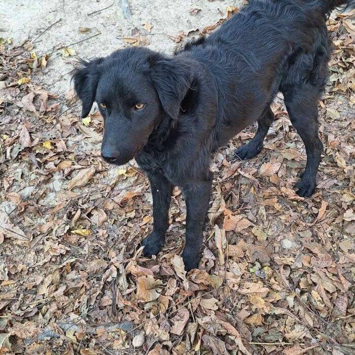 WhatsApp Slika 2025-05-13 u 16.03.06_6b58e213