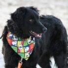 WhatsApp Slika 2025-05-13 u 16.03.06_f8d0f5d4