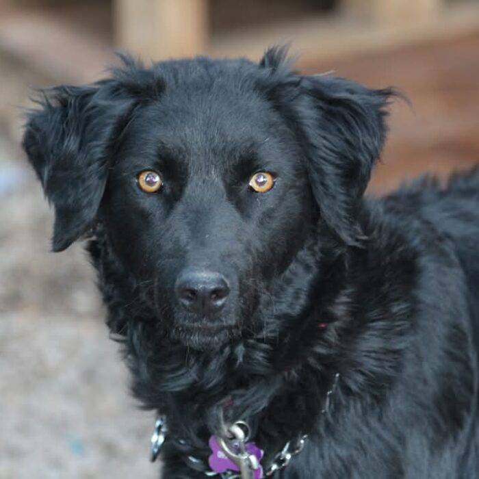 WhatsApp Slika 2025-05-13 u 16.03.07_46fe7bf1