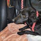 WhatsApp Slika 2025-05-13 u 16.03.07_ab16a6f5