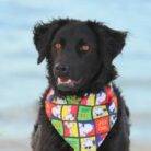 WhatsApp Slika 2025-05-13 u 16.03.07_cbe21f2c